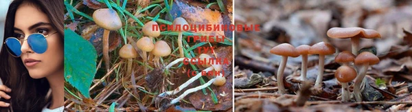 а пвп мука Белокуриха