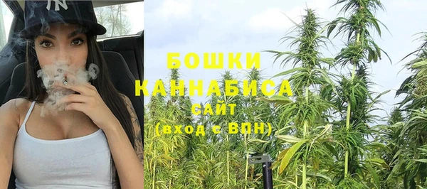 прущие грибы Белоозёрский