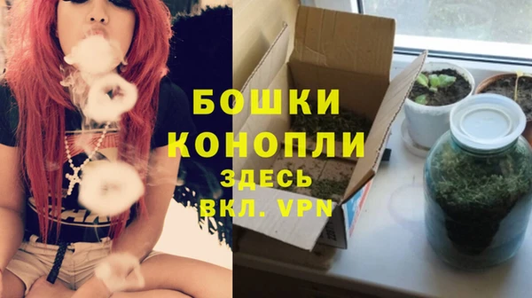 прущие грибы Белоозёрский