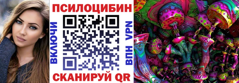 Псилоцибиновые грибы Psilocybine cubensis  сколько стоит  Бологое 